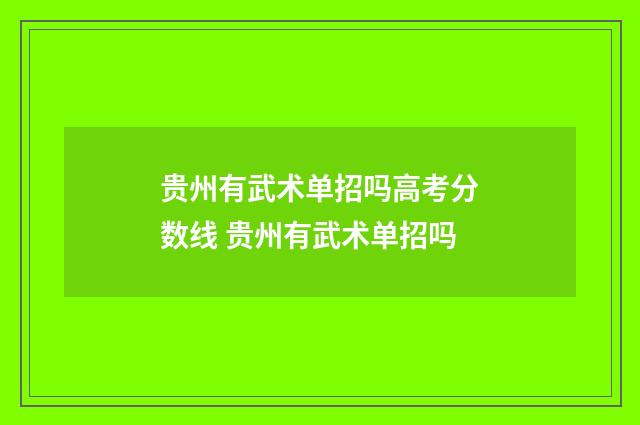 贵州有武术单招吗高考分数线 贵州有武术单招吗