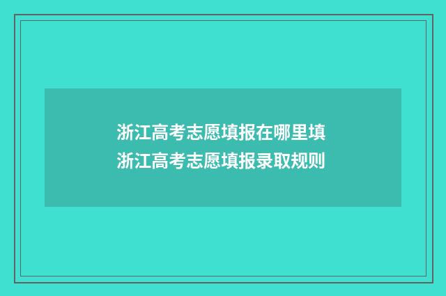 浙江高考志愿填报在哪里填 浙江高考志愿填报录取规则