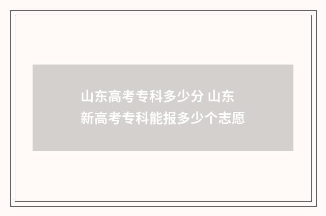 山东高考专科多少分 山东新高考专科能报多少个志愿