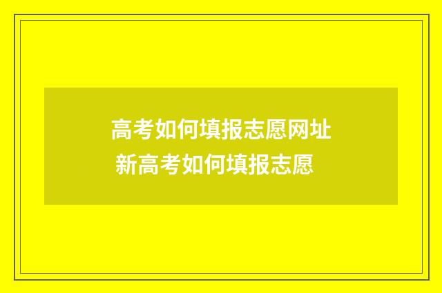 高考如何填报志愿网址 新高考如何填报志愿