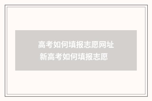 高考如何填报志愿网址 新高考如何填报志愿
