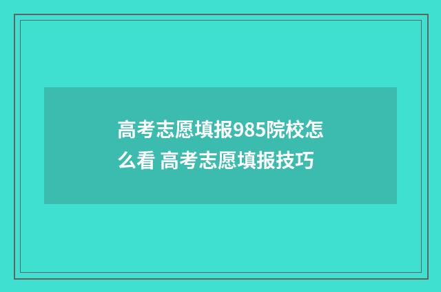 高考志愿填报985院校怎么看 高考志愿填报技巧