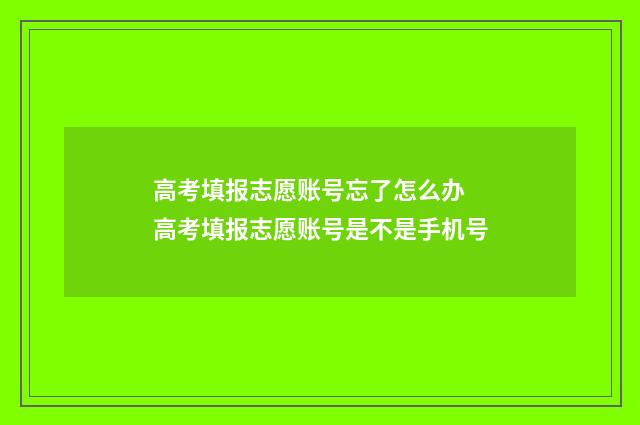 高考填报志愿账号忘了怎么办 高考填报志愿账号是不是手机号