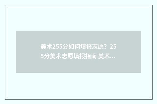 美术255分如何填报志愿？255分美术志愿填报指南 美术考225分