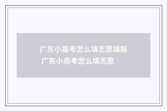 广东小高考怎么填志愿填报 广东小高考怎么填志愿
