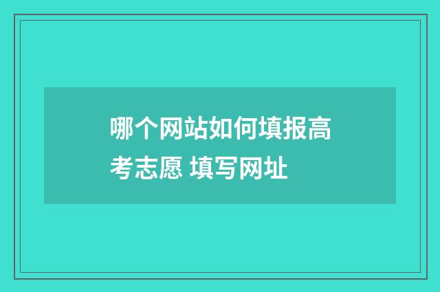 哪个网站如何填报高考志愿 填写网址