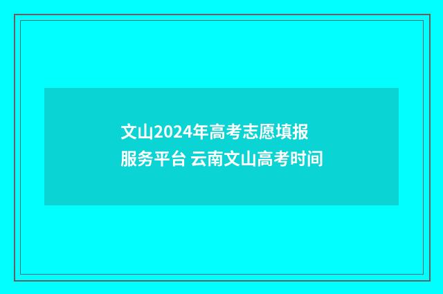 文山2024年高考志愿填报服务平台 云南文山高考时间