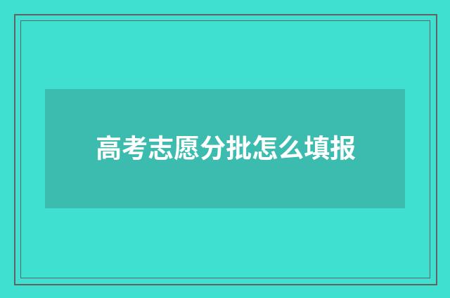 高考志愿分批怎么填报