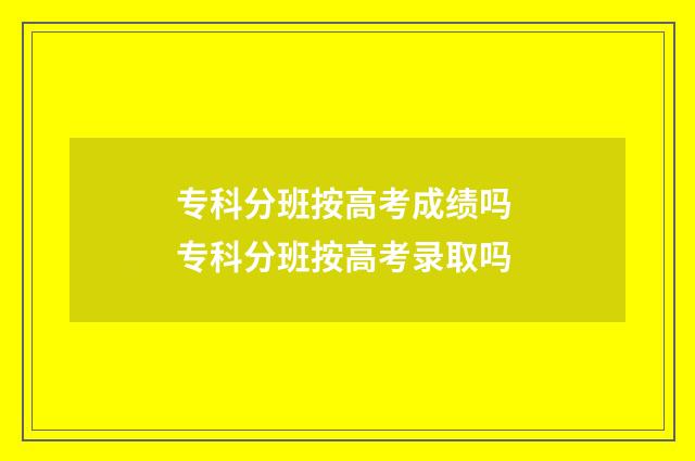 专科分班按高考成绩吗 专科分班按高考录取吗