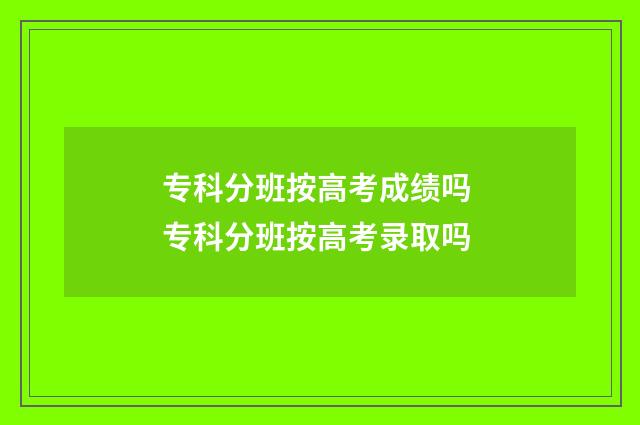 专科分班按高考成绩吗 专科分班按高考录取吗