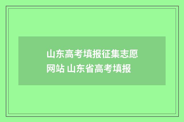 山东高考填报征集志愿网站 山东省高考填报