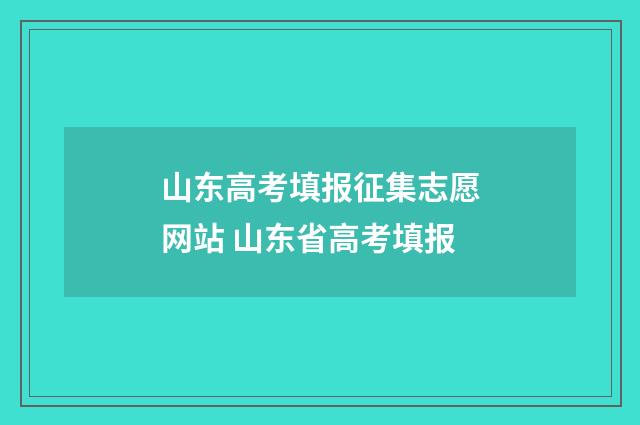 山东高考填报征集志愿网站 山东省高考填报