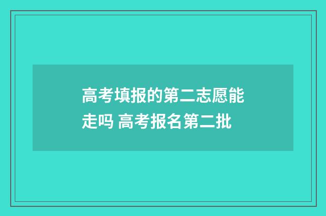 高考填报的第二志愿能走吗 高考报名第二批