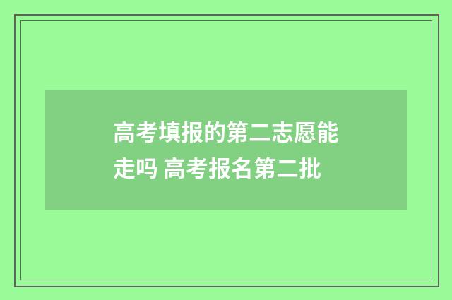 高考填报的第二志愿能走吗 高考报名第二批