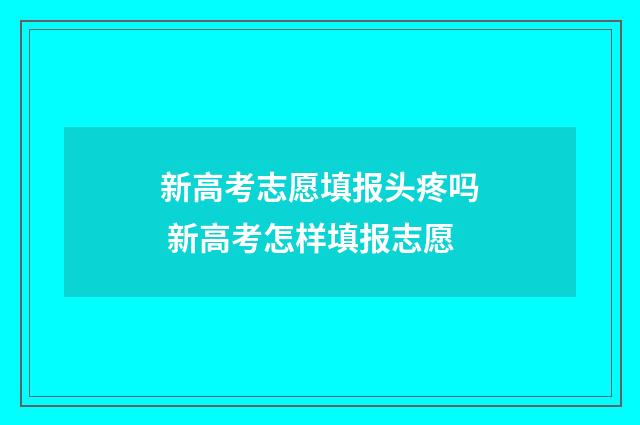 新高考志愿填报头疼吗 新高考怎样填报志愿