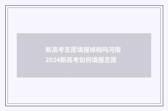 新高考志愿填报掉档吗河南 2024新高考如何填报志愿