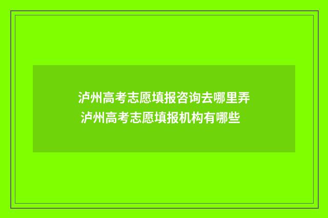 泸州高考志愿填报咨询去哪里弄 泸州高考志愿填报机构有哪些