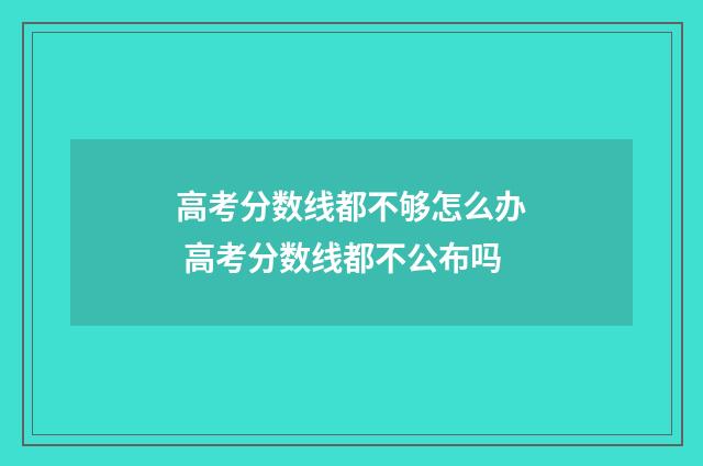 高考分数线都不够怎么办 高考分数线都不公布吗