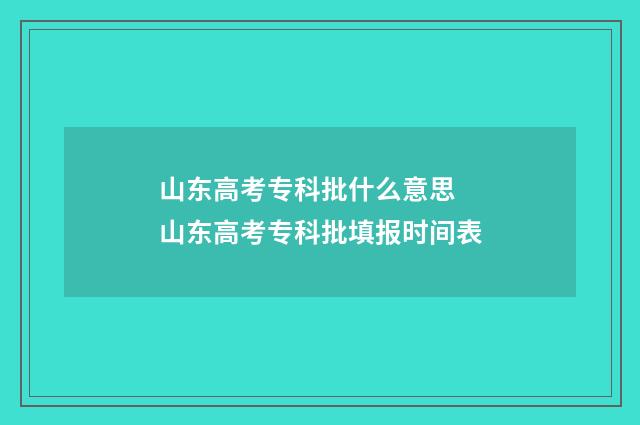 山东高考专科批什么意思 山东高考专科批填报时间表