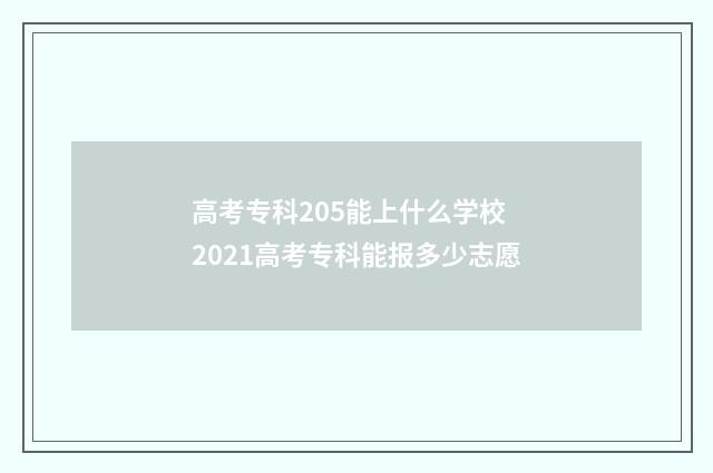 高考专科205能上什么学校 2021高考专科能报多少志愿