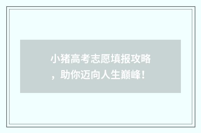 小猪高考志愿填报攻略，助你迈向人生巅峰！