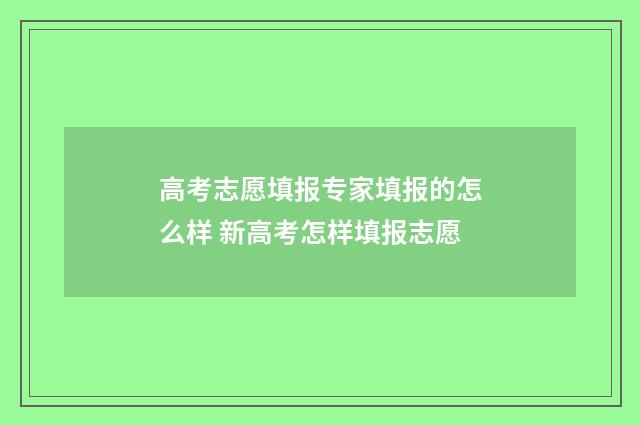 高考志愿填报专家填报的怎么样 新高考怎样填报志愿