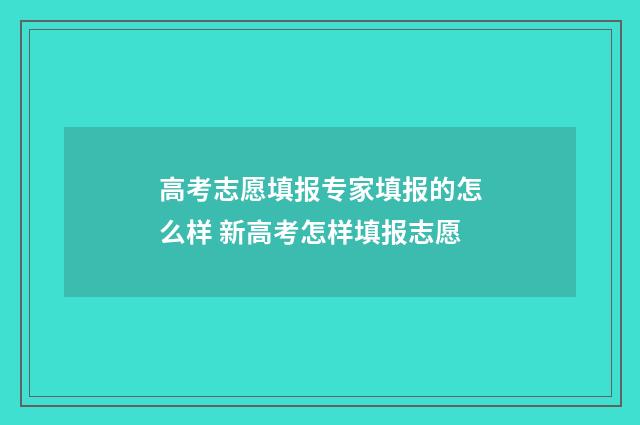 高考志愿填报专家填报的怎么样 新高考怎样填报志愿