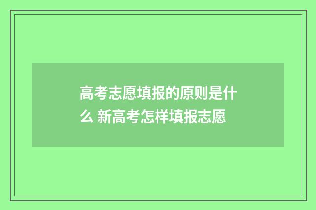 高考志愿填报的原则是什么 新高考怎样填报志愿
