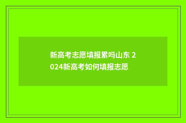 新高考志愿填报累吗山东 2024新高考如何填报志愿