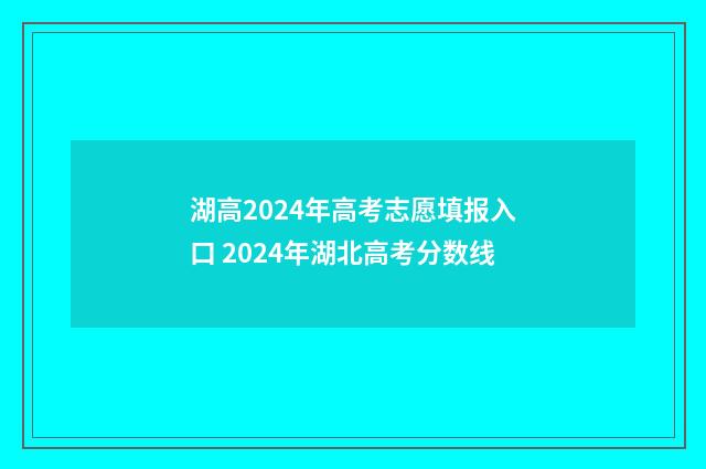 湖高2024年高考志愿填报入口 2024年湖北高考分数线