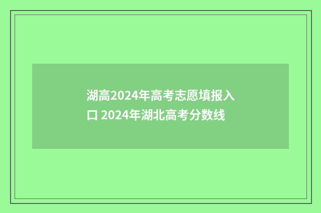 湖高2024年高考志愿填报入口 2024年湖北高考分数线