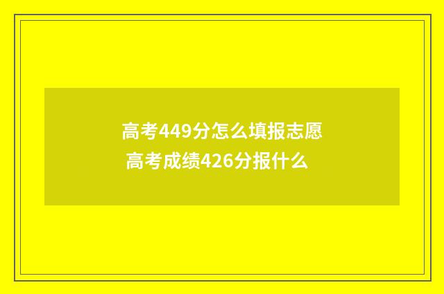 高考449分怎么填报志愿 高考成绩426分报什么