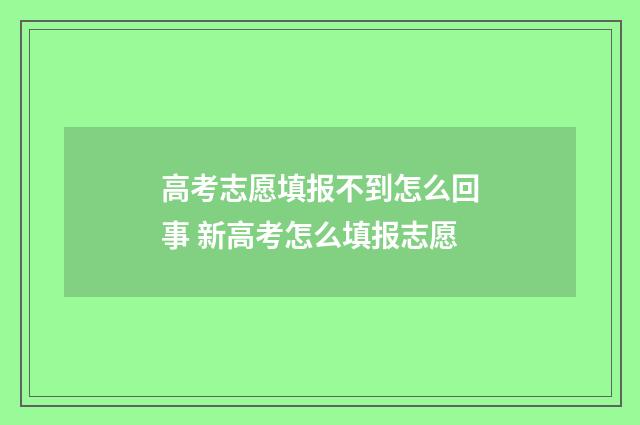 高考志愿填报不到怎么回事 新高考怎么填报志愿