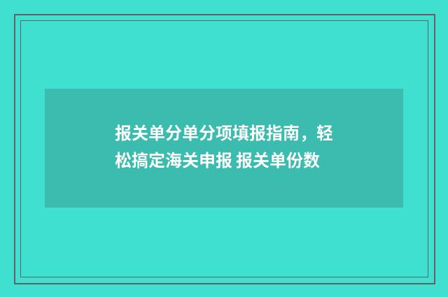 报关单分单分项填报指南，轻松搞定海关申报 报关单份数