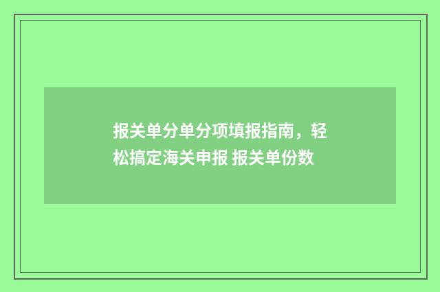 报关单分单分项填报指南，轻松搞定海关申报 报关单份数