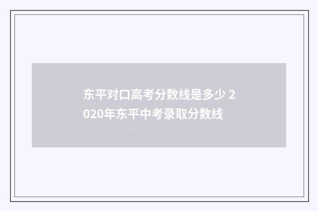 东平对口高考分数线是多少 2020年东平中考录取分数线