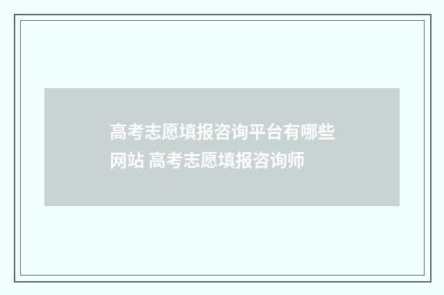 高考志愿填报咨询平台有哪些网站 高考志愿填报咨询师