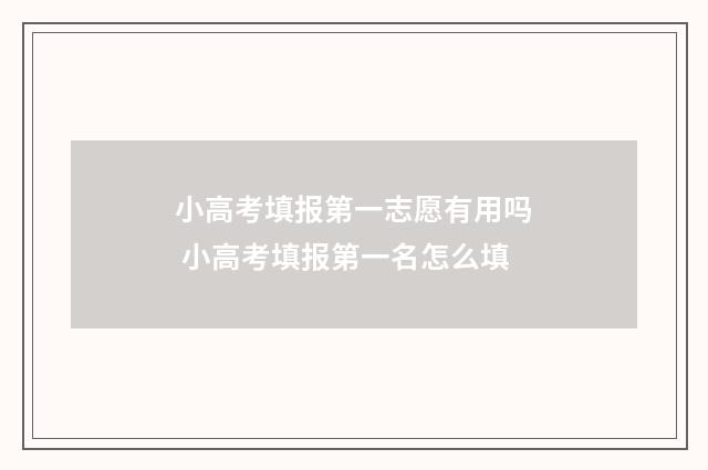 小高考填报第一志愿有用吗 小高考填报第一名怎么填