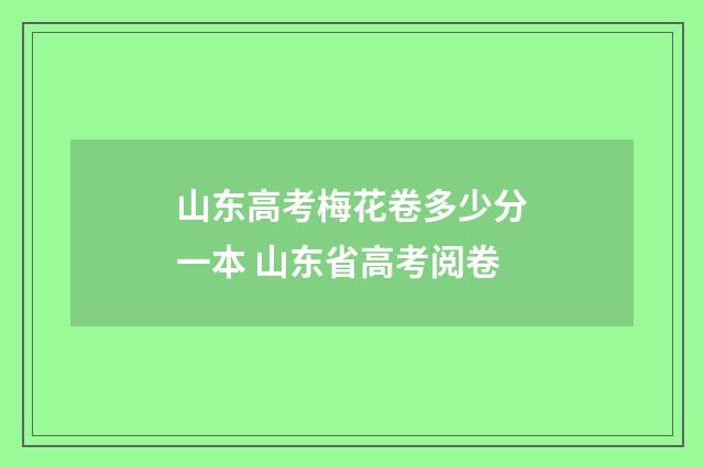 山东高考梅花卷多少分一本 山东省高考阅卷
