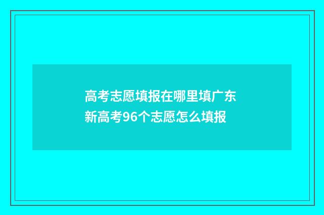 高考志愿填报在哪里填广东 新高考96个志愿怎么填报