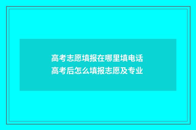 高考志愿填报在哪里填电话 高考后怎么填报志愿及专业