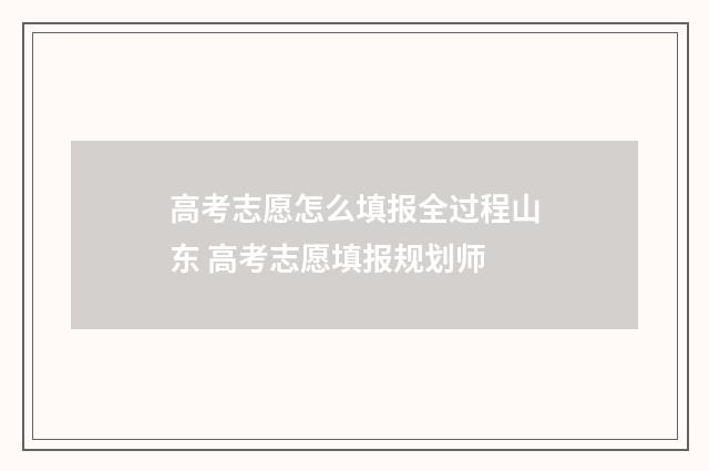 高考志愿怎么填报全过程山东 高考志愿填报规划师