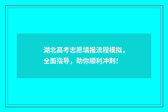 湖北高考志愿填报流程模拟，全面指导，助你顺利冲刺！