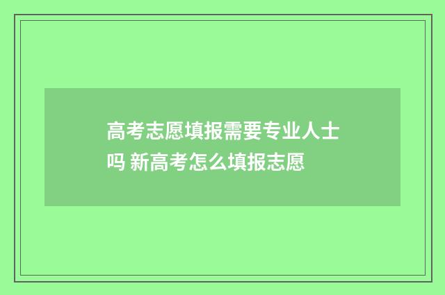 高考志愿填报需要专业人士吗 新高考怎么填报志愿