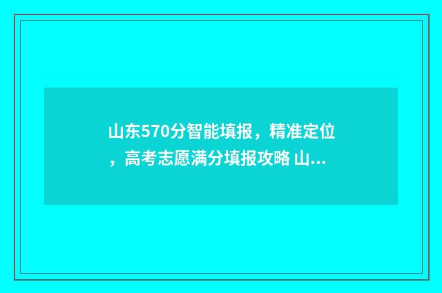 山东570分智能填报，精准定位，高考志愿满分填报攻略 山东533分
