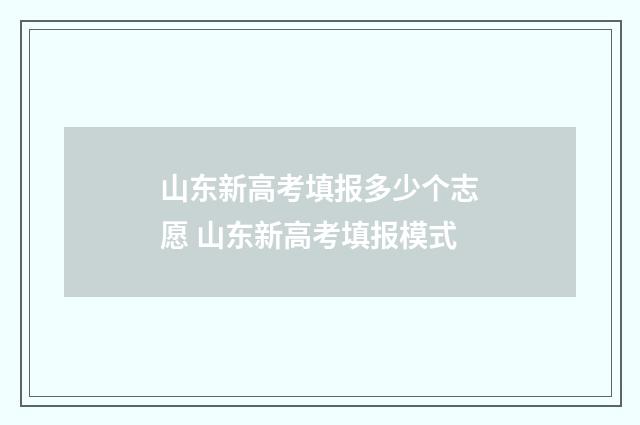 山东新高考填报多少个志愿 山东新高考填报模式