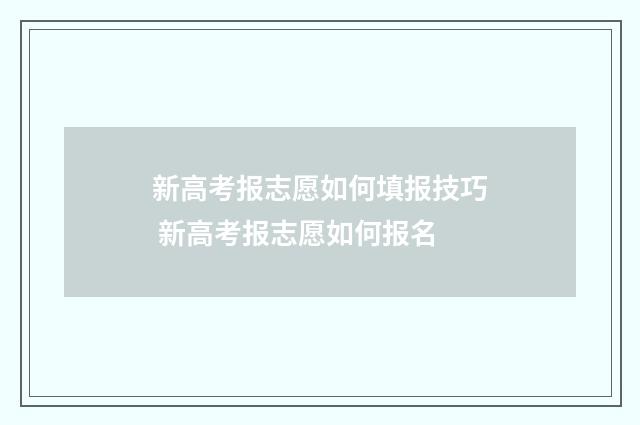 新高考报志愿如何填报技巧 新高考报志愿如何报名