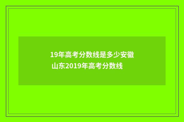 19年高考分数线是多少安徽 山东2019年高考分数线