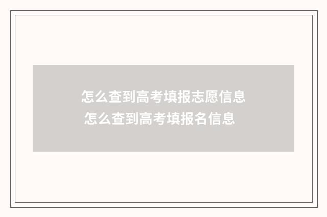 怎么查到高考填报志愿信息 怎么查到高考填报名信息