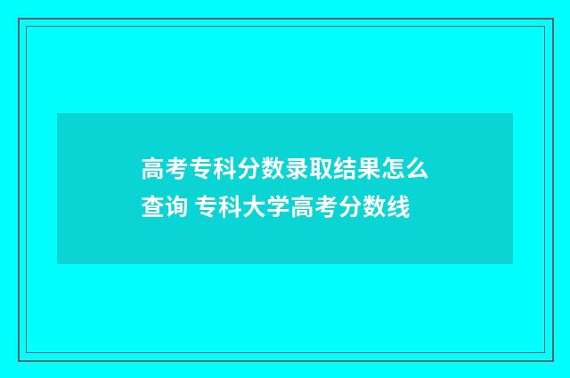 高考专科分数录取结果怎么查询 专科大学高考分数线